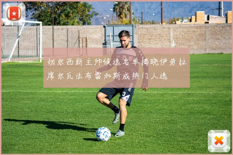 切尔西新主帅候选名单揭晓伊劳拉席尔瓦法布雷加斯成热门人选