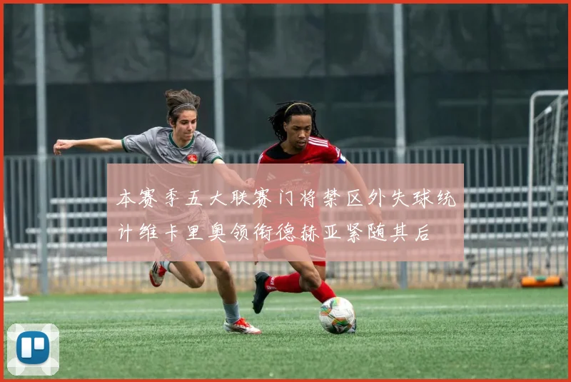 本赛季五大联赛门将禁区外失球统计维卡里奥领衔德赫亚紧随其后